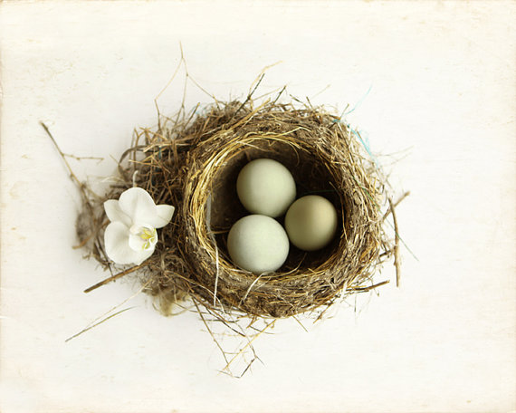 Easter Spring Nest French Country Decor Ivory 8x10 or 8x12 Archival Photograph