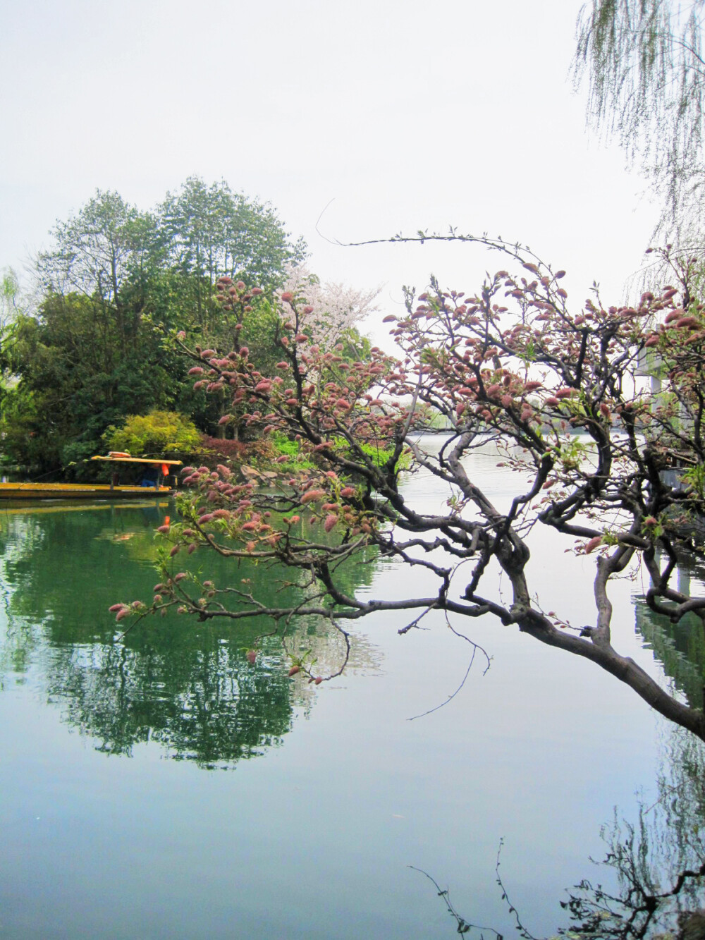 杭州西湖太子湾公园