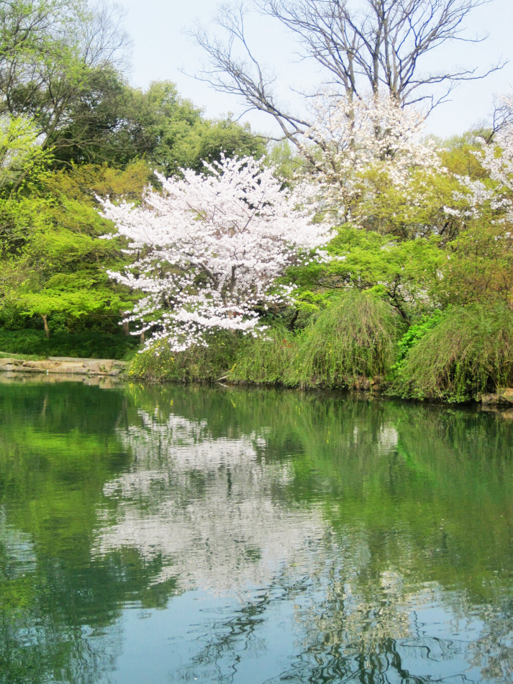 杭州西湖太子湾公园