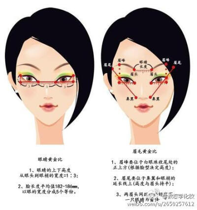 看完美的脸部黄金比例，学会怎么化妆