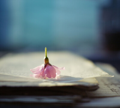 不是所有的人都能知道时光的涵意，不是所有的人都懂得珍惜；这世间并没有分离与衰老的命运，只有肯爱与不肯去爱的心。——席慕容《独白》