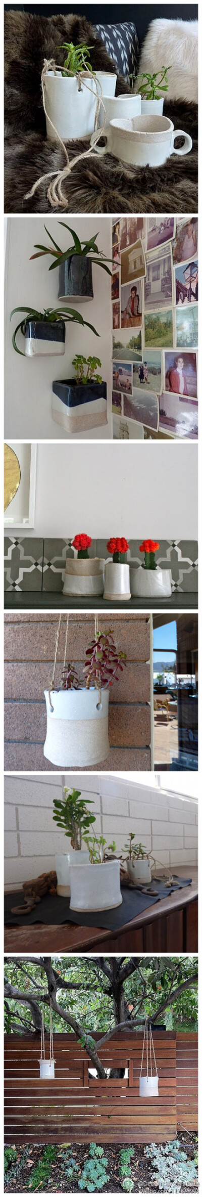 花盆荃湾陶器，美丽的陶器，新的室内花盆和花槽 。可以放在华丽的桌面或悬挂在室内，TW陶瓷有点朴实自然的感觉，非常实用。