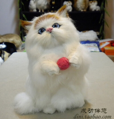 好可爱的猫咪 需要购买的地址也有哦 http://item.taobao.com/item.htm?id=9051558222