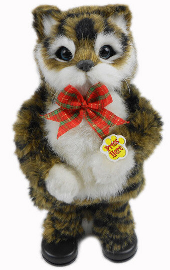 葫猫咪 猫大叔 封面 大牌