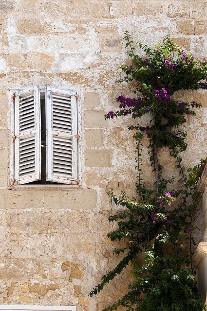 Mdina white shutters by Richard John Linnett