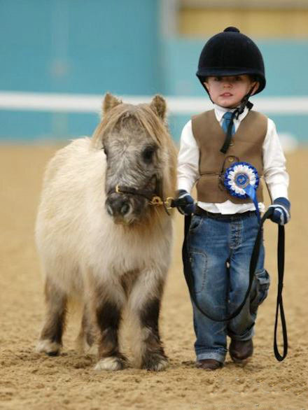 小小骑手牵着小小马儿。你俩是来参加卖萌大赛的吧！