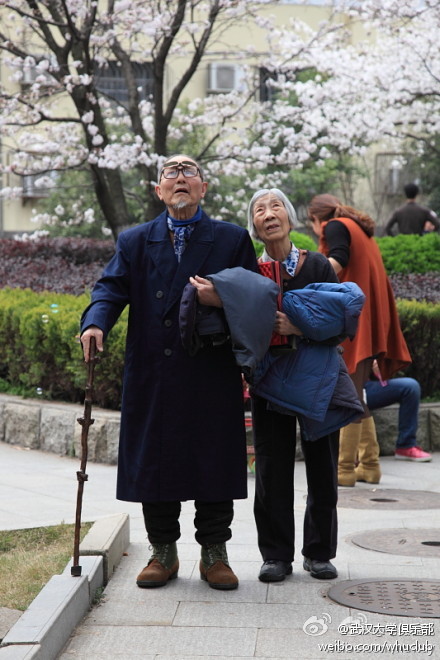 德高望重的法学家梁西先生及夫人 赏樱