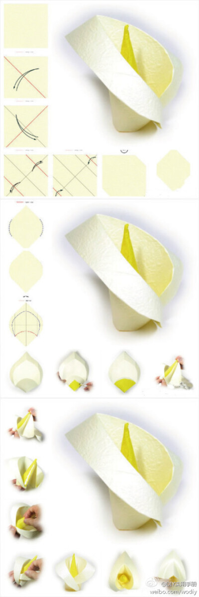 海芋的折纸教程