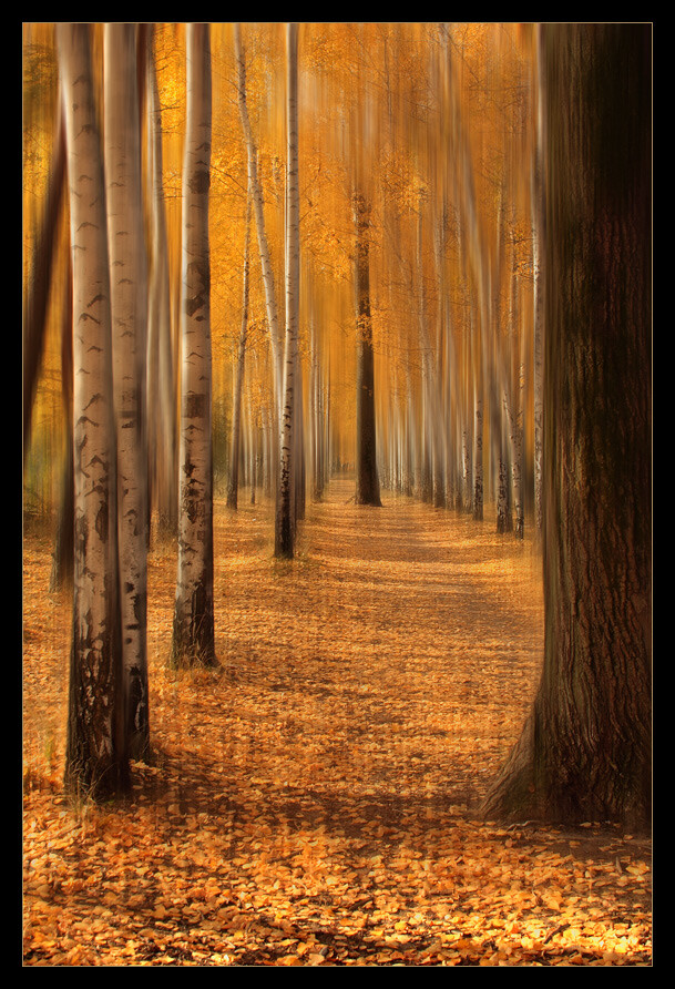 Photograph *** by Vadim Trunov on 500px