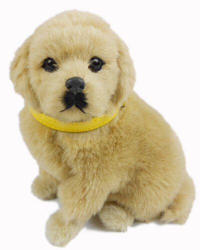  需要购买地址 http://item.taobao.com/item.htm?id=14036771363