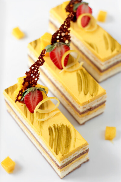 Chocolate Coconut & Mango Entremet