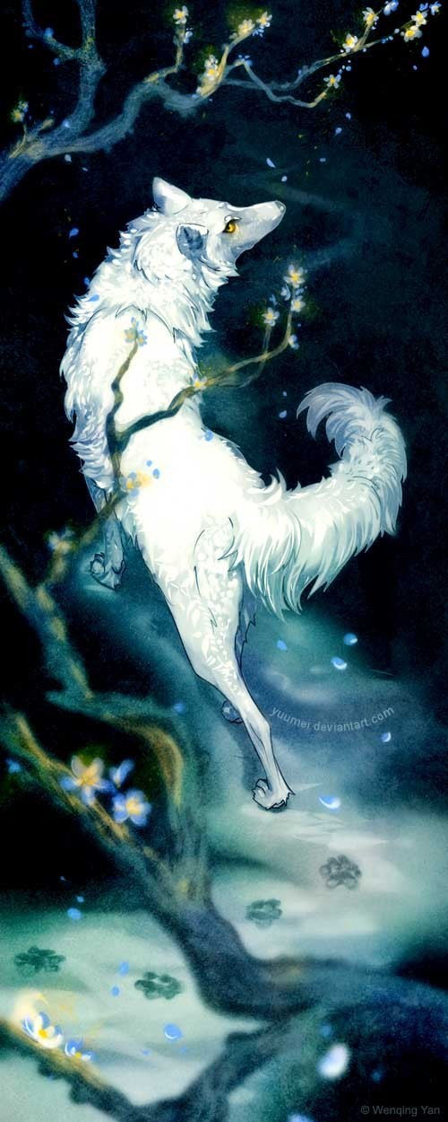 来自Wenqing Yan的一组非常“自然”的略带宫崎骏味道的插画作品，幽灵公主的狼神