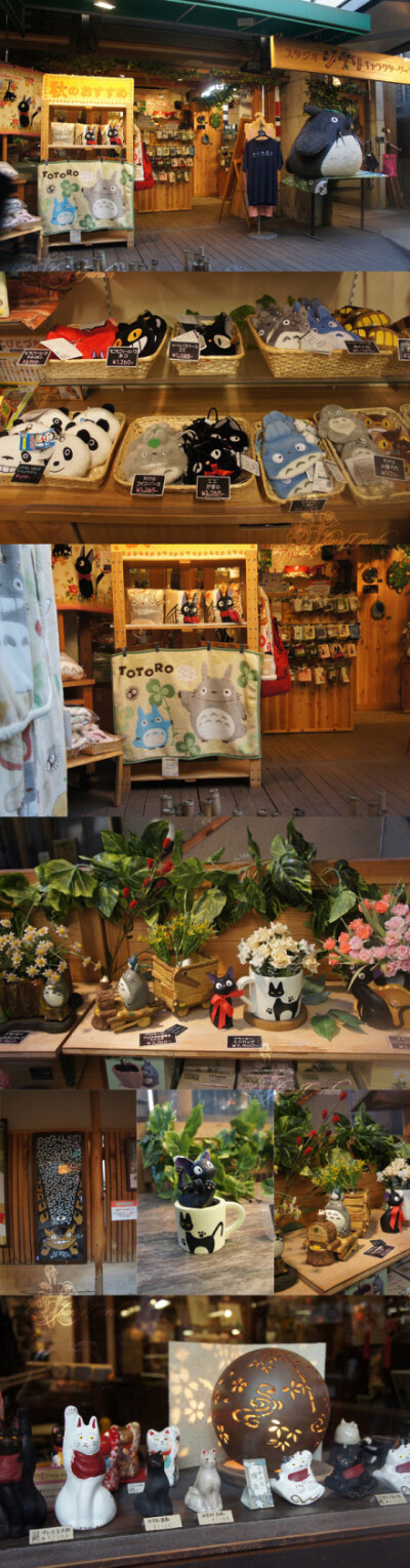 这是日本京都旅游所拍的一间龙猫专卖店，非常可爱漂亮，作为猫控的她可算是充满了眼褔，好多超可爱的生活家居用品。当然如果有心，你也可以开一家类似的哦~~~~