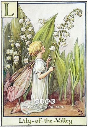 L--Lily of the Vally 德国铃兰 花语：纯白幽谷百合.jpg