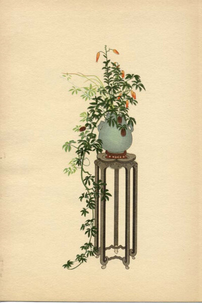 BOTANICAL BOOK PAGE 1934 Japanese Print Stauntonia, Tiger Lily and Pampas Grass Plate No. 14