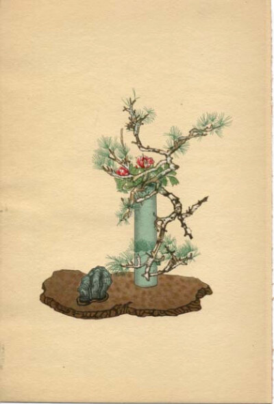 BOTANICAL BOOK PAGE 1934 Japanese Flower Arrangements Plate No. 1 Pine Tree and Peony