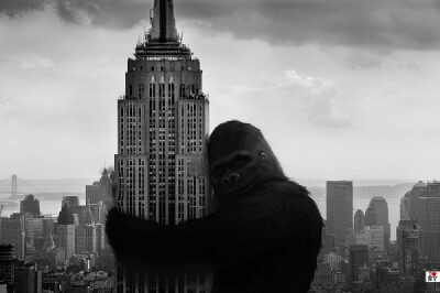 Kingkong love NY？！