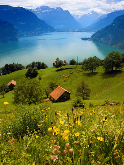 Lake Lucern, Switzerland 美得不一般