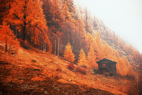 Solitude in Red (by Ting Hay)