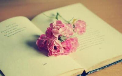 旧书总是很有feel