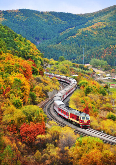 坐着火车去旅行-山谷秋色