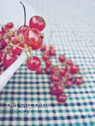 By KristinaVF-Red Currant
