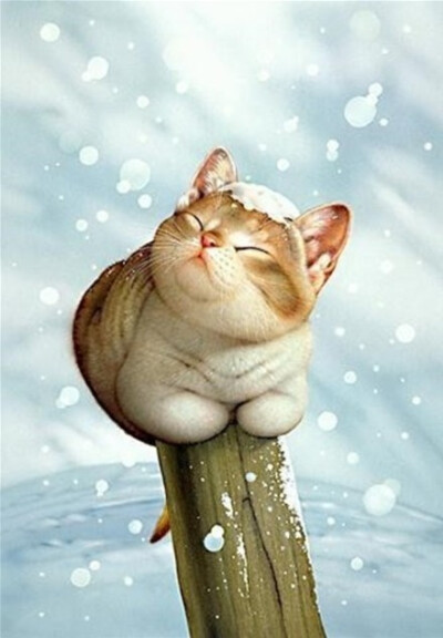 变得聪明伶俐一点吧。另外，记得让内心充满感恩。对一生来说，这才最重要。