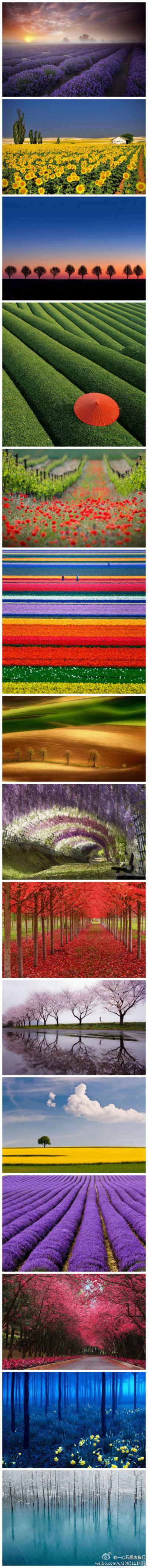 总有一些美妙风景，让你止不住举起镜头。记住它~