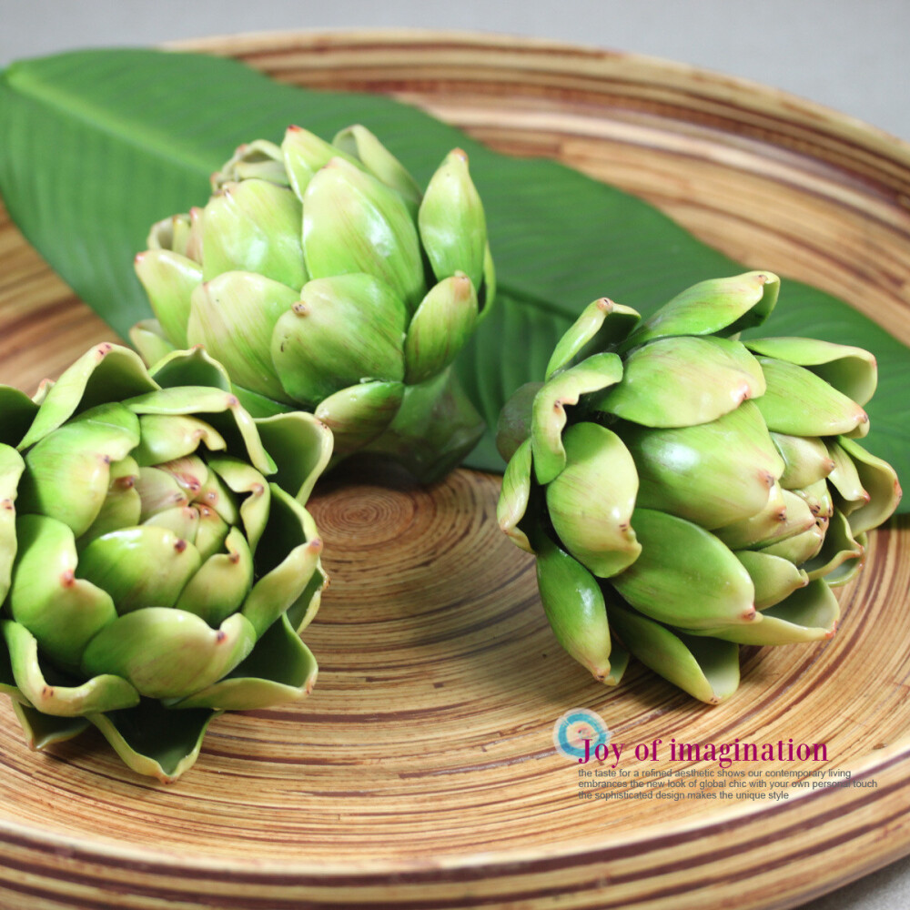 仿真植物凤梨花头