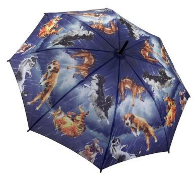 【萌物】Galleria Raining Cats & Dogs Stick Umbrella。小时候英语老师就讲raining cats and dogs是倾盆大雨的意思，但俺从小到大都在想象下雨下得天降猫狗到底是怎样一番景象。这把伞实在对这个习语的完美诠释啊~…