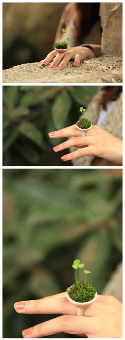【绿植戒指】 好萌的绿植戒指，我也想有一个！