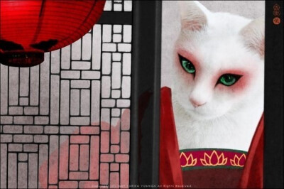 日本.吉田依子(Yoriko Yoshida)的一组作品，将猫狗宠物与脸谱造型相融合。