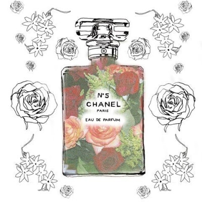 【我只穿 NO. 5 睡觉一一玛丽莲梦露】 Chanel NO. 5 香水手绘