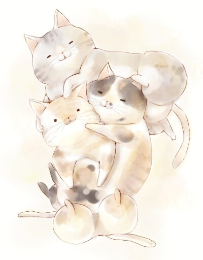 猫。