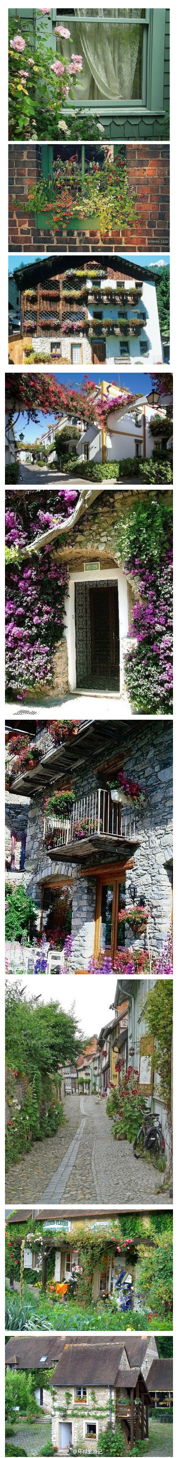 【莫奈的花园：法国小镇吉维尼】 每一扇窗都开满鲜花！水和花卉集合在一起，使天光水影构成了心目中最理想的印象。