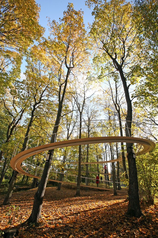 A path in the Forest by Tetsuo Kondo near Tallinn, Estonia.