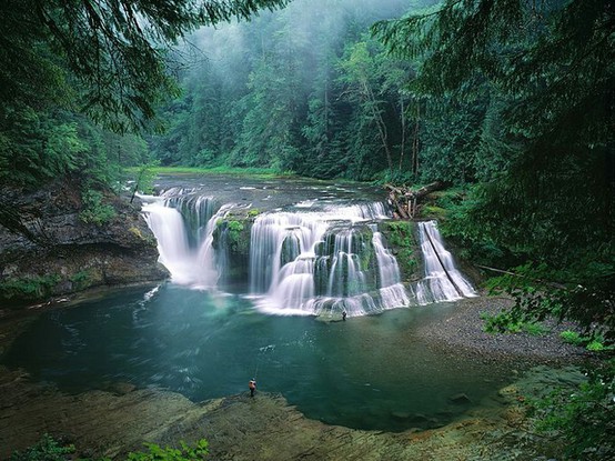 Lower Lewis River Falls - Gifford Pinchot National Forest - Washington