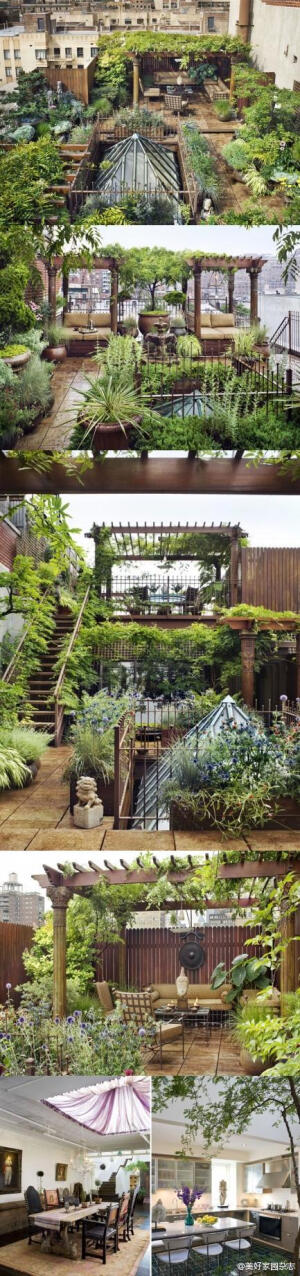 麦哈顿、纽约、屋顶、开放式厨房、大花园。除了屋顶，其他的，大家都可以来美好家园+胖龙丽景DIY创意花园亲手实现！