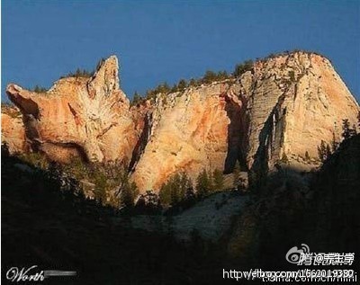 南斯拉夫境内的猫山