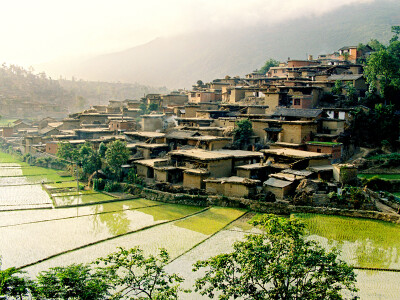 城子古村 水田