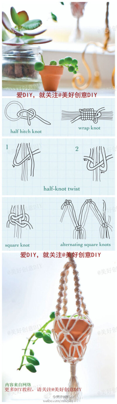 小清新的小盆栽