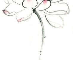 识不足则多虑，威不足则多怒，信不足则多言。——弘一法师