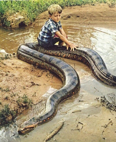 Boy on a snake