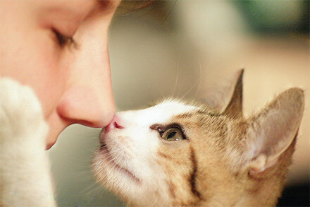 你一定以为 我闭上眼 是在思考吧/其实呢 我在做梦/如果我能变成人的话 那时的你还会像现在这样对我微笑吗/其实呢 我想你抱抱我/如果我能变成人的话 想和你一直聊天到天亮/如果我能变成人的话 我会一直陪在你身边的/真的希望 那天能早日到来/于是今天 也沉醉在美梦里——手嶌葵《恋爱的尾巴》