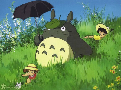 只有善良的孩子才会看见Totoro