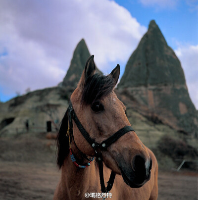 @瑪格烈特 从一匹马开始胶片的更新。摄于Cappadocia, 意为the land of beautiful horses