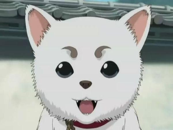 萨达哈鲁实在是太萌了!