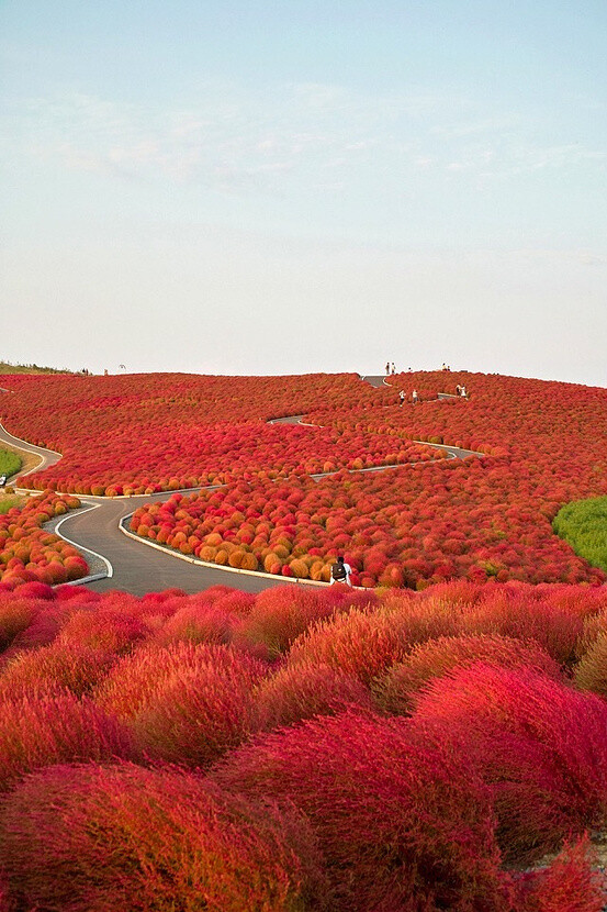 日本