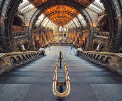 伦敦-自然历史博物馆 Philipp Klinger摄影作品