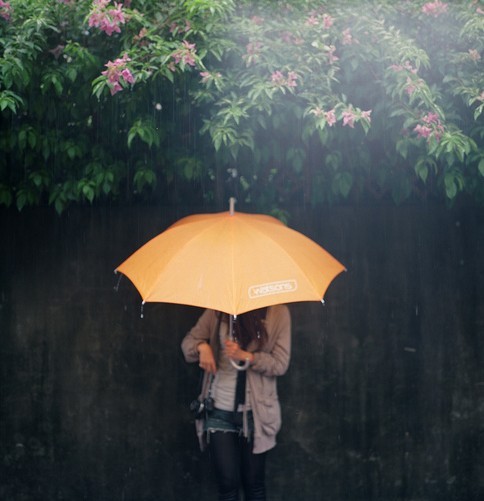 雨伞